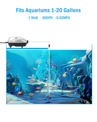 AquaMiracle aquarium air pump with 50GPH flow supports consistent oxygen exchange.