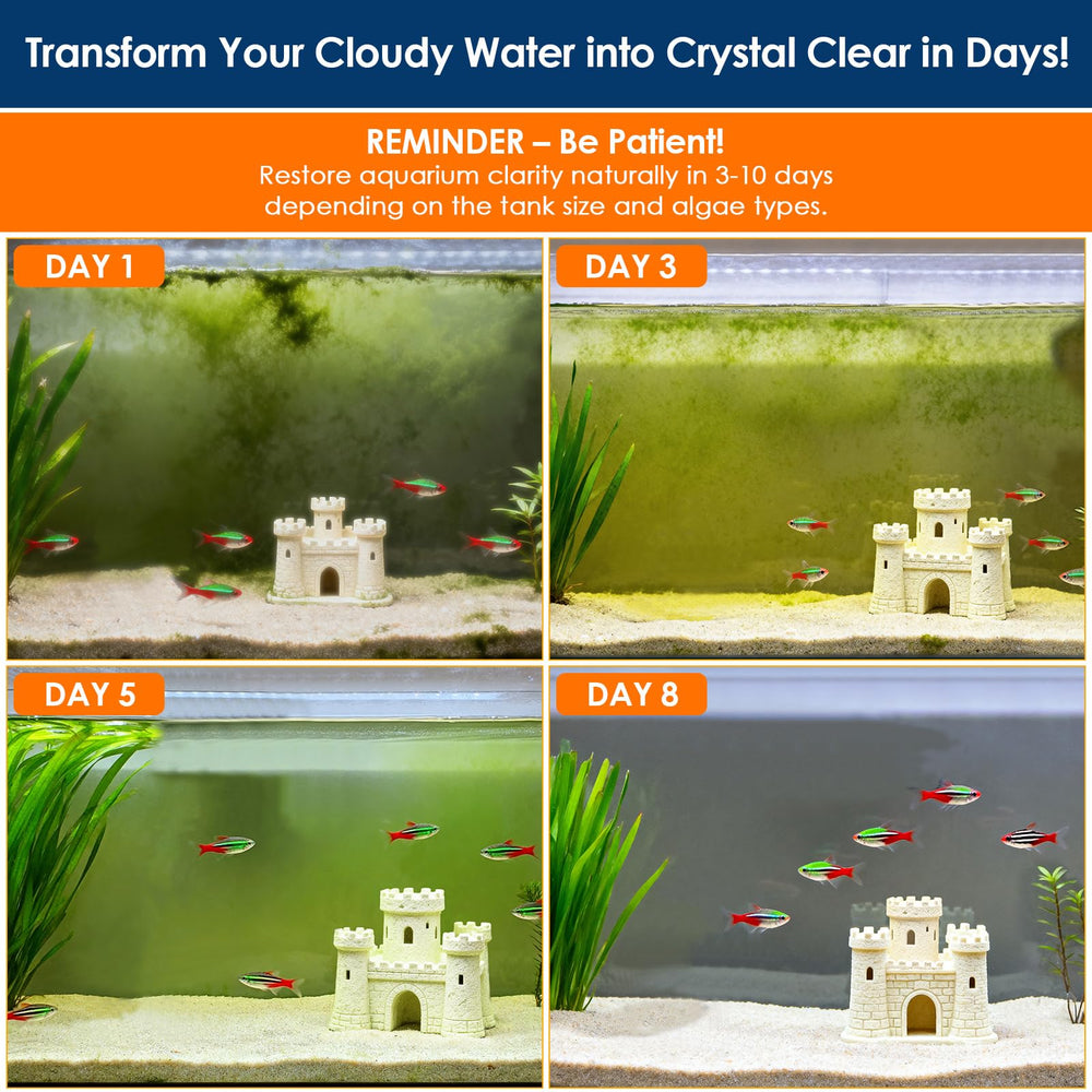 A AquaMiracle filter sponge traps uneaten food and waste, keeping water clear
