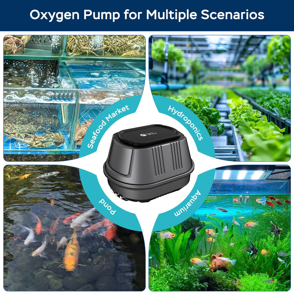 AquaMiracle pond outdoor use air pump demonstrates reliable oxygenation for water features