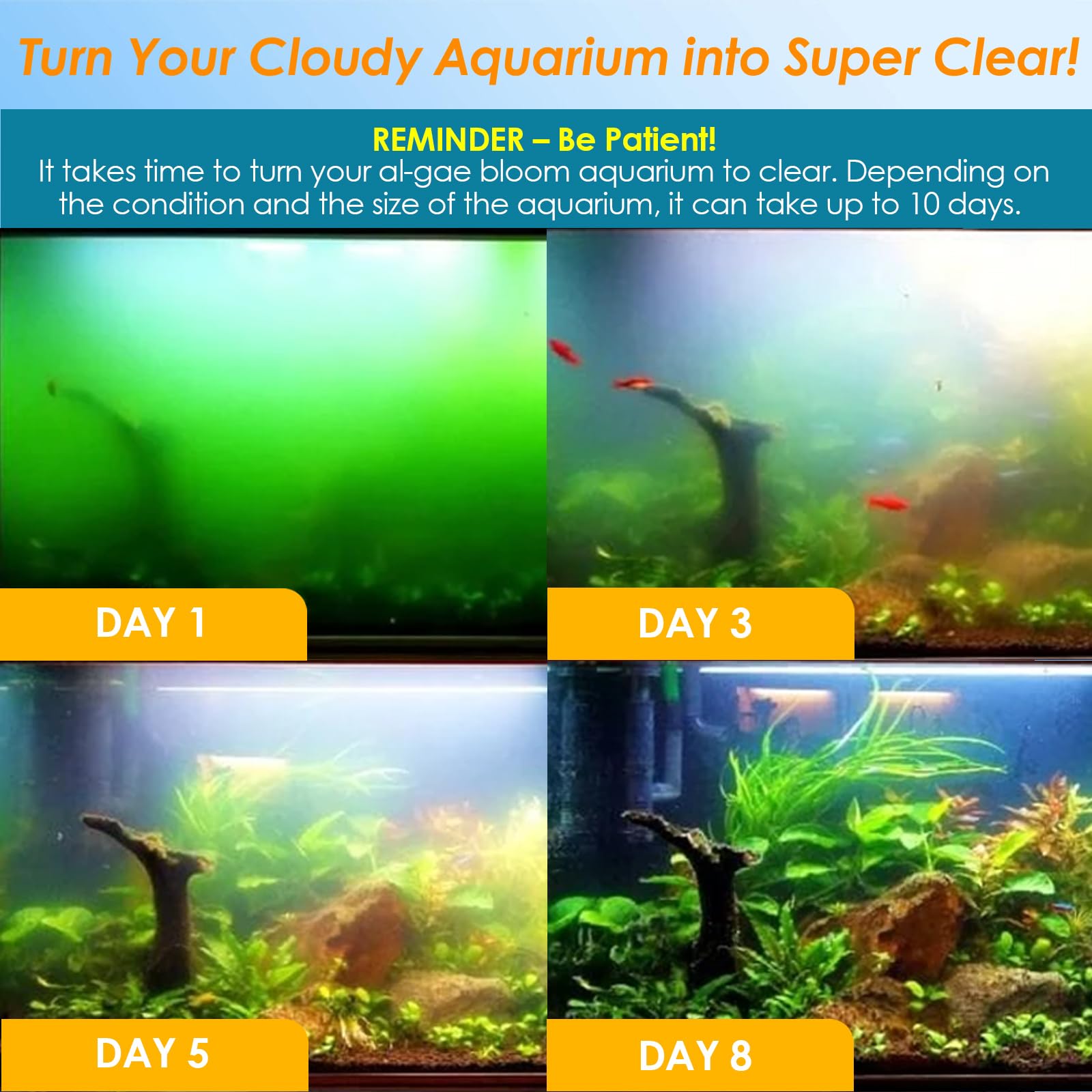 AquaMiracle pre-filter sponge capturing debris to keep glass clean.
