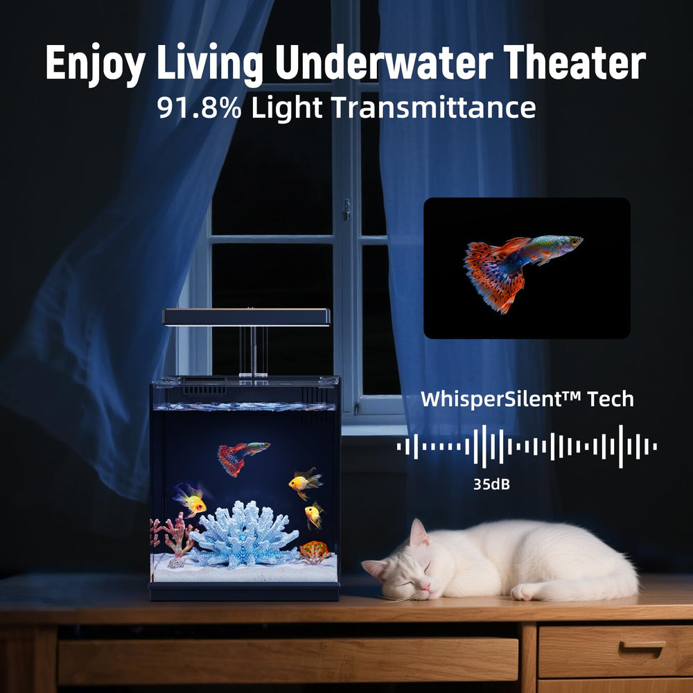 AQUASMITH Beta Tank built-in LED light enhances colors and aquarium ambiance.