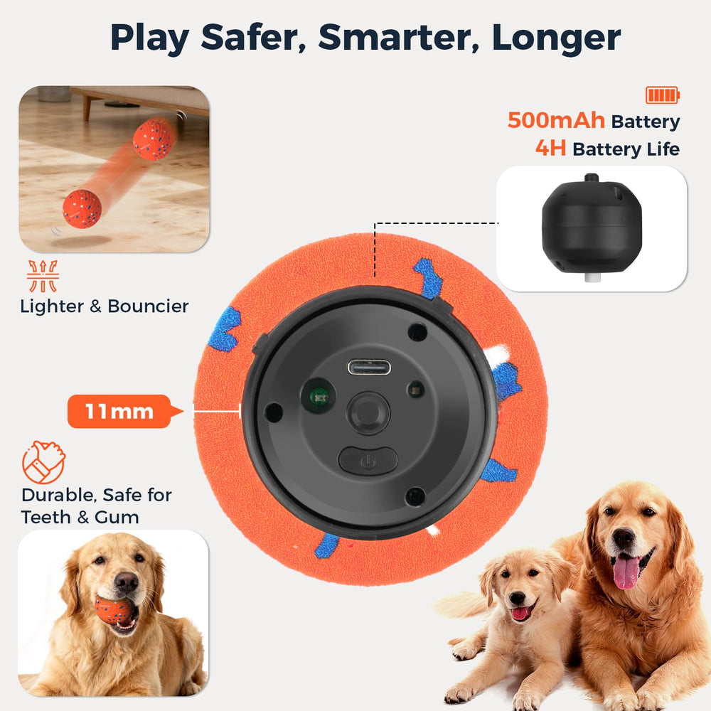 Aquamorph 2-pack interactive dog balls—two colors for variety during playtime.
