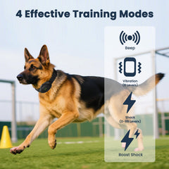 Aquamorph collar with quick-release strap adjusted on a medium dog for secure fit