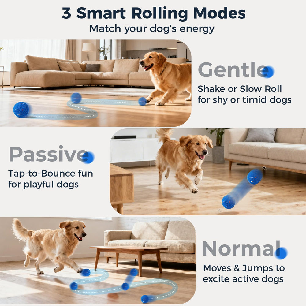 Aquamorph dog ball orange ripple motion keeps dogs mentally engaged during fetch.