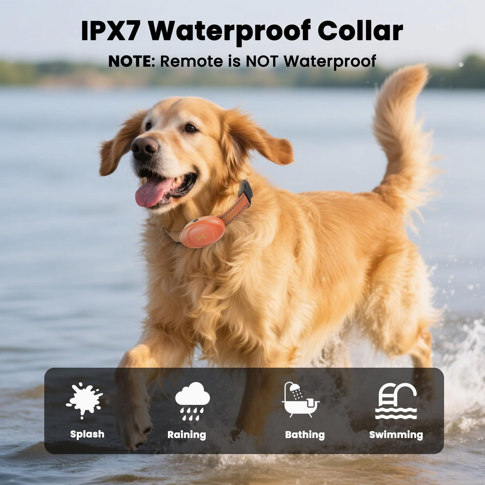 Aquamorph IPX7 waterproof collar withstands rain and baths for versatile use.