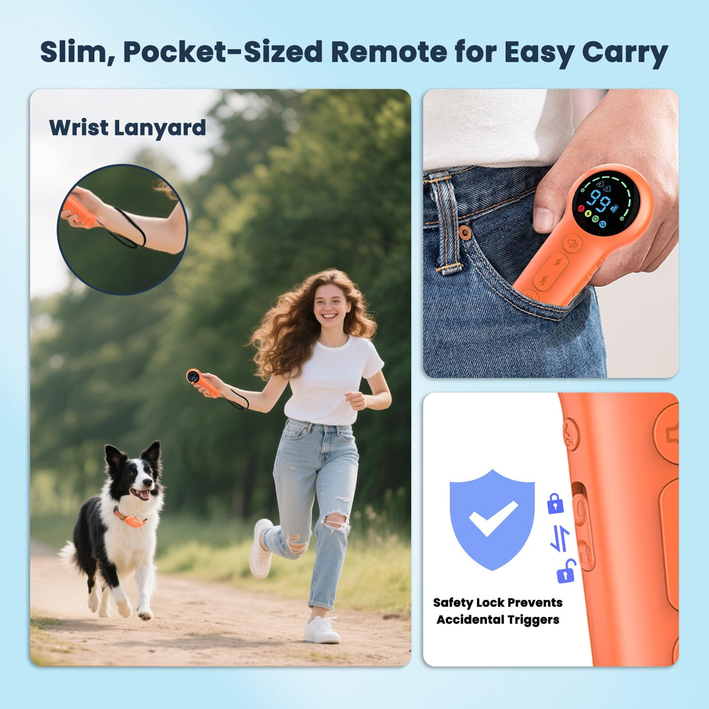 Aquamorph remote lock prevents accidental shocks during training sessions.