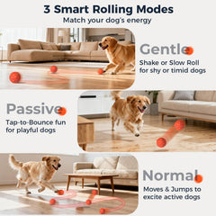 Aquamorph interactive dog ball orange grid side—engaging motion keeps dogs motivated.