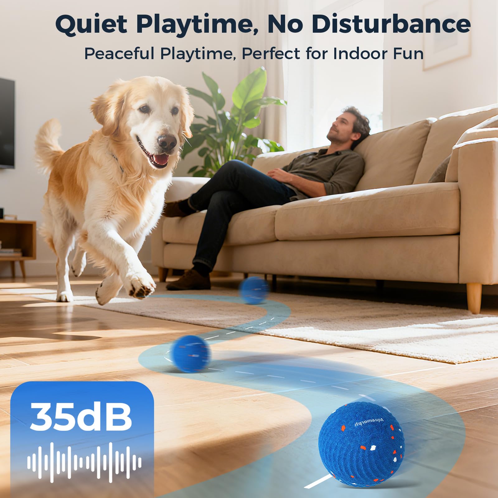 Aquamorph two-pack with dogs playing supports multi-dog households and shared fun.