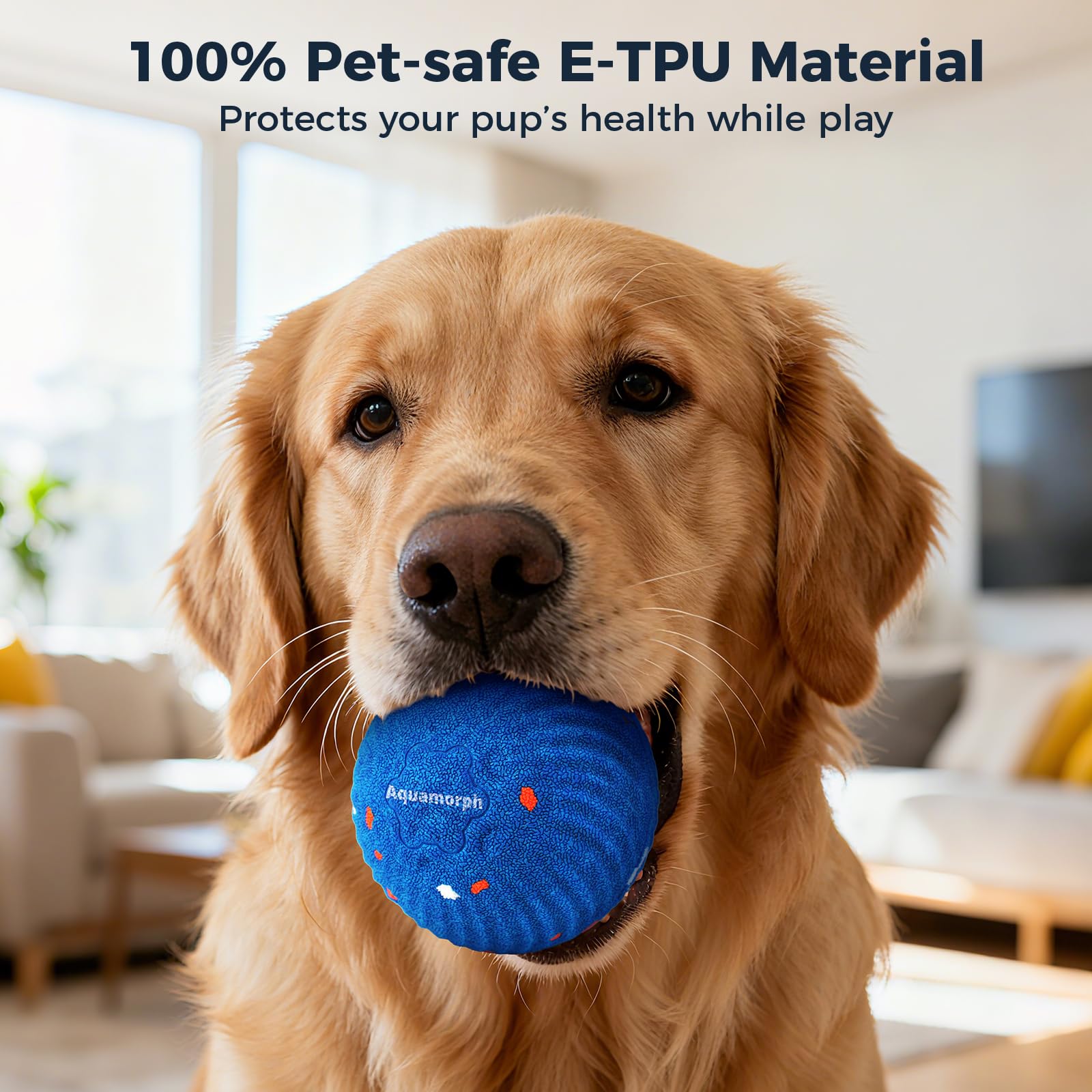 Aquamorph Type-C rechargeable battery powers long play sessions.