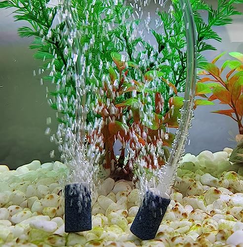 AQUANEAT 1 inch air stone designed for reliable diffusion in fish tanks.