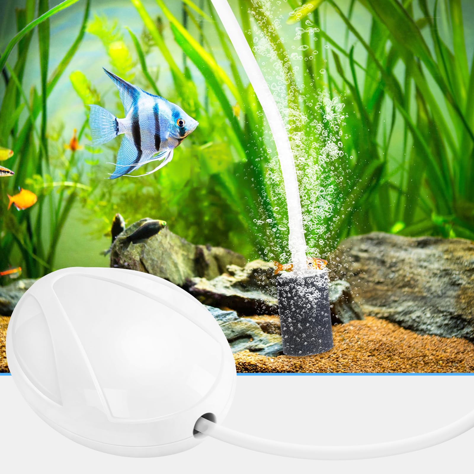 AQUANEAT air stone kit connected to pump facilitates bubbles for small fish tanks.