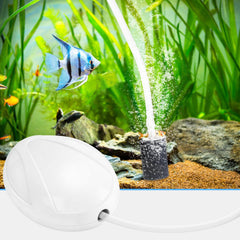AQUANEAT air stone kit connected to pump facilitates bubbles for small fish tanks.