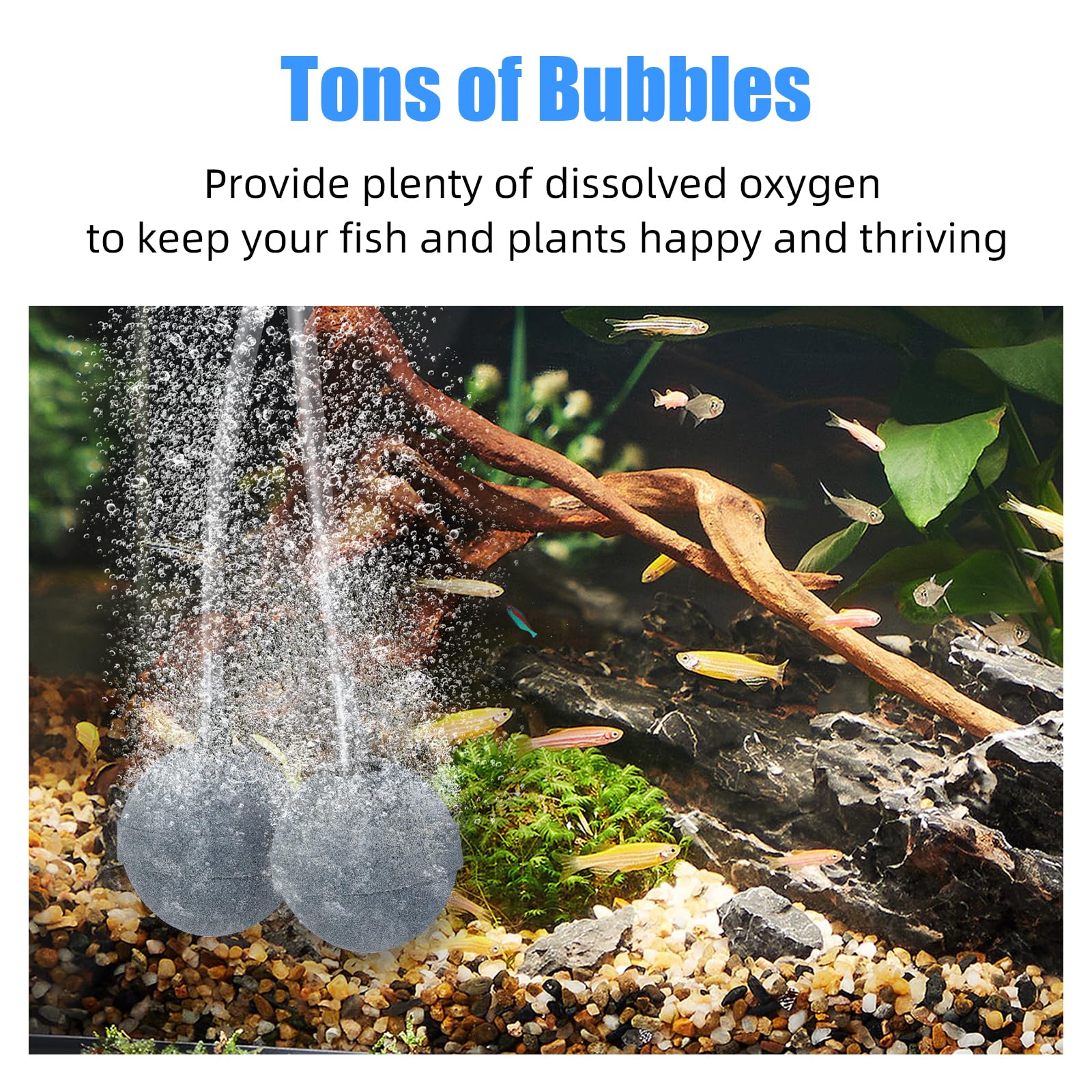 AQUANEAT aquarium oxygen diffuser demonstrates steady bubbles promoting healthy fish tank circulation