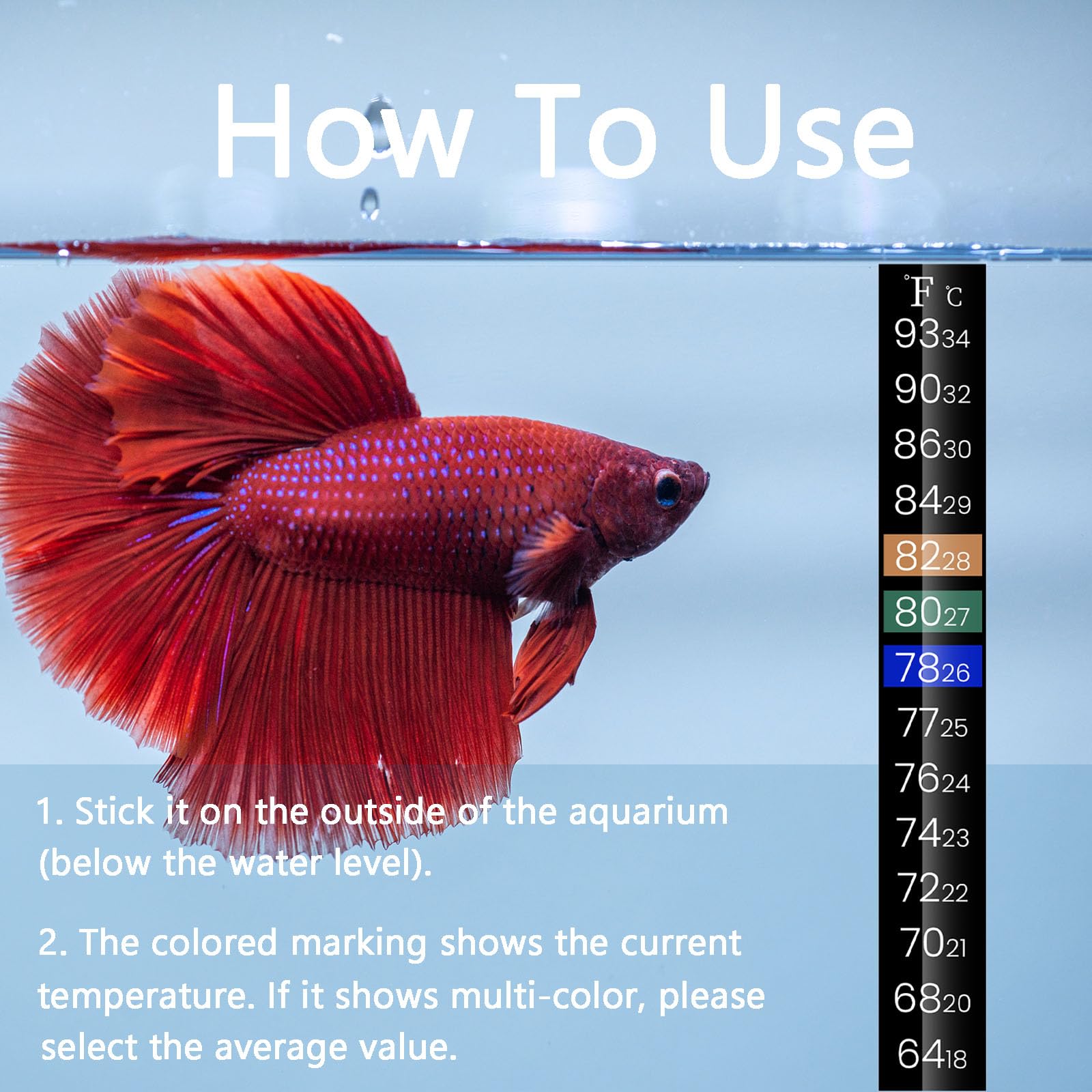 AQUANEAT Betta tank setup demonstrates compact, plug-and-play installation