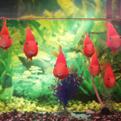 AQUANEAT breeder dimensions 6.25x5.5x6.25 inches for compact setup.