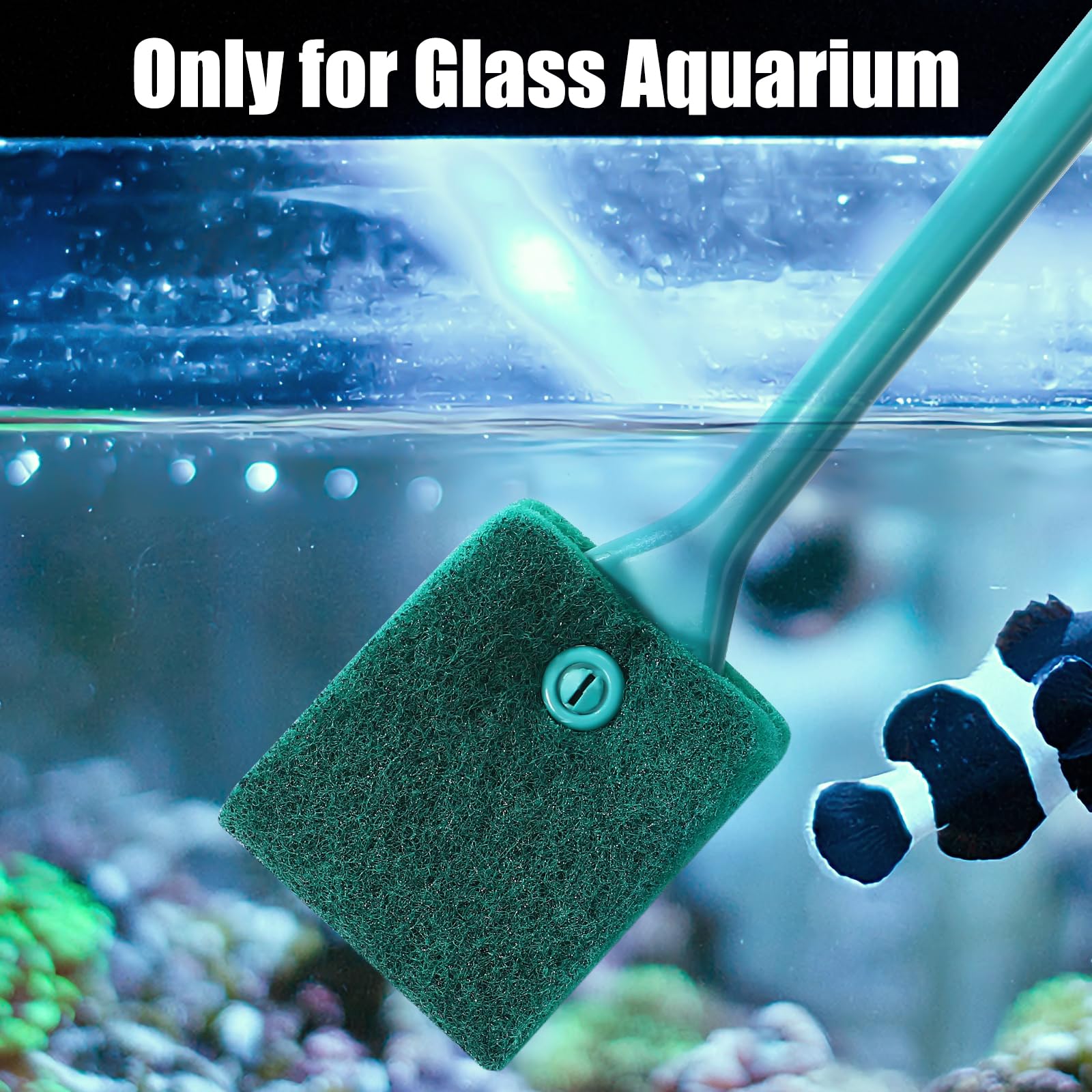 AQUANEAT brush with hanging hole for convenient storage after cleaning