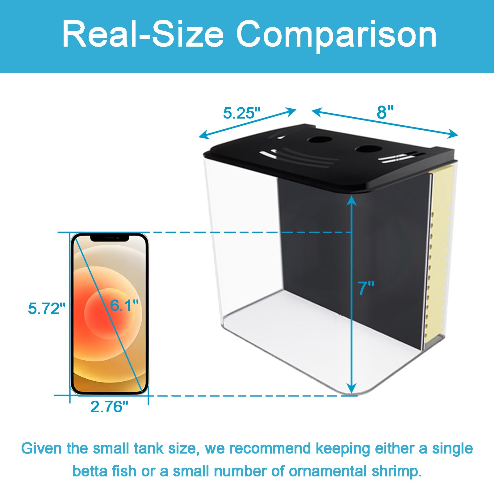 AQUANEAT compact desk aquarium on a table for home office.
