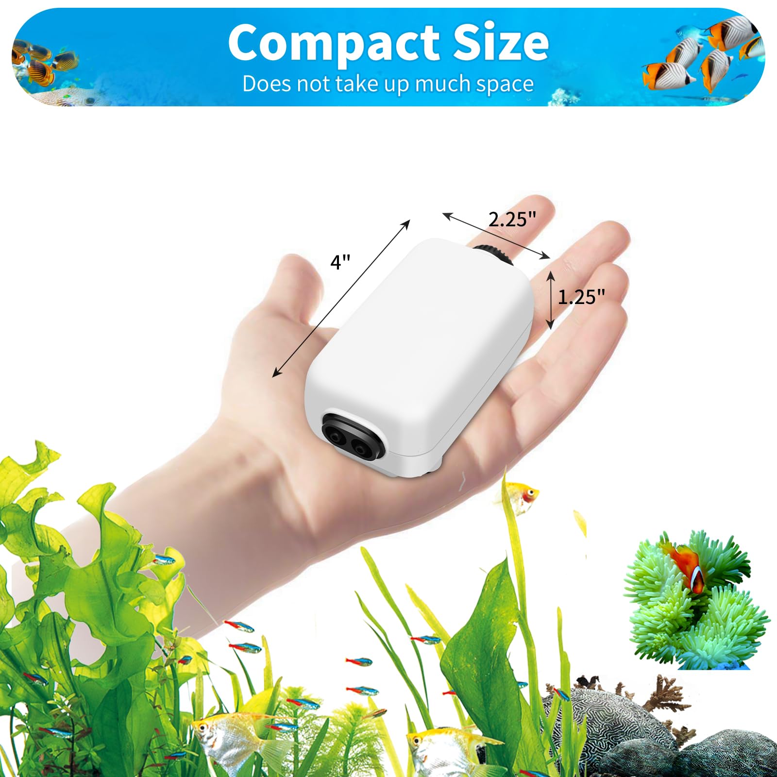 AQUANEAT dual-outlet configuration enables simultaneous filtration and stone aeration.