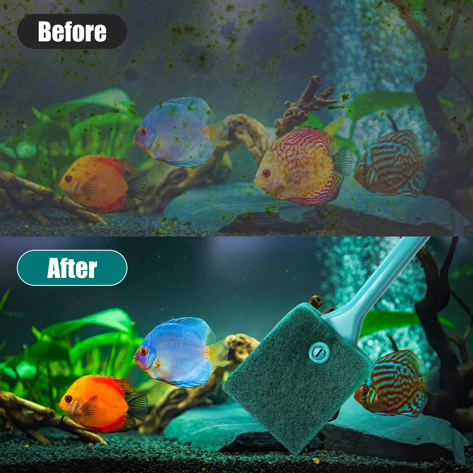 AQUANEAT glass-tank compatible brush preserves tank glass without scratches