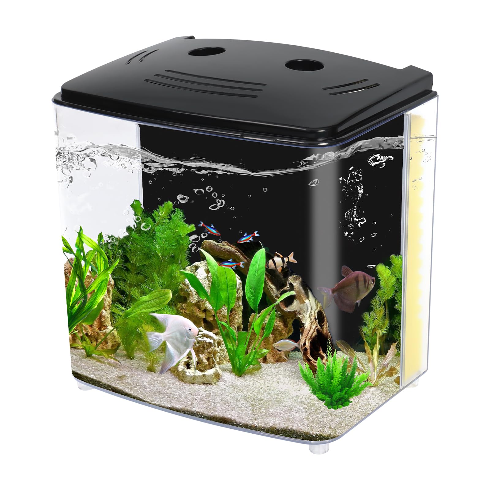 AQUANEAT one-point-two-gallon tank front view for space-saving Betta setups.