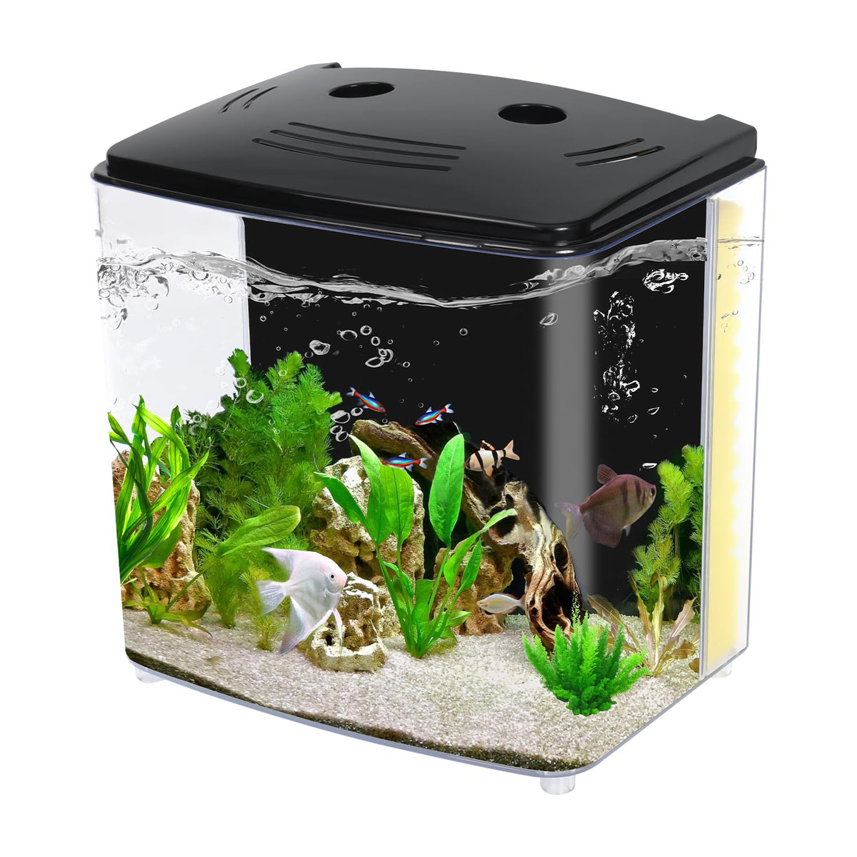 AQUANEAT one-point-two-gallon tank front view for space-saving Betta setups.