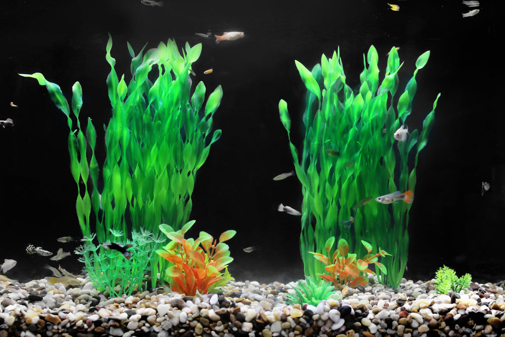 AQUANEAT safe plastic aquarium plants designed for fish safety and pet-friendly decor.