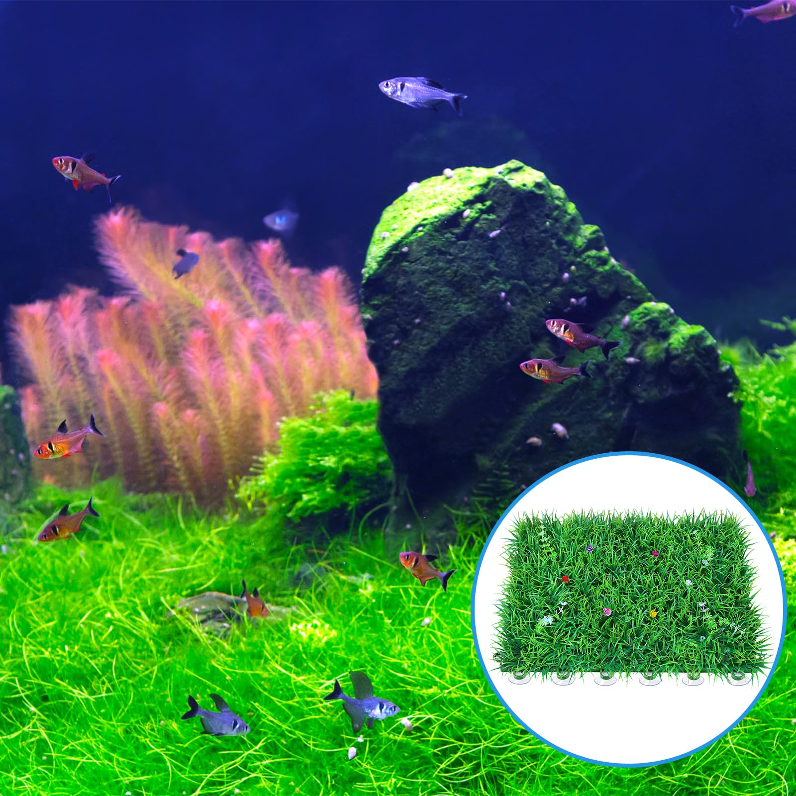 AQUANEAT shrimp-nest-support secures delicate structures without bulk in nano tanks.