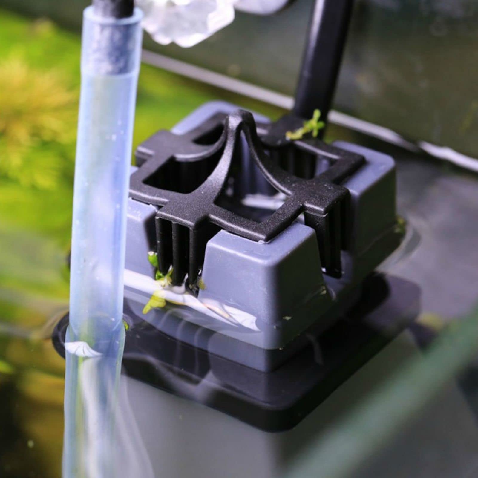 AQUANEAT surface skimmer with adjustable flow for freshwater or saltwater use