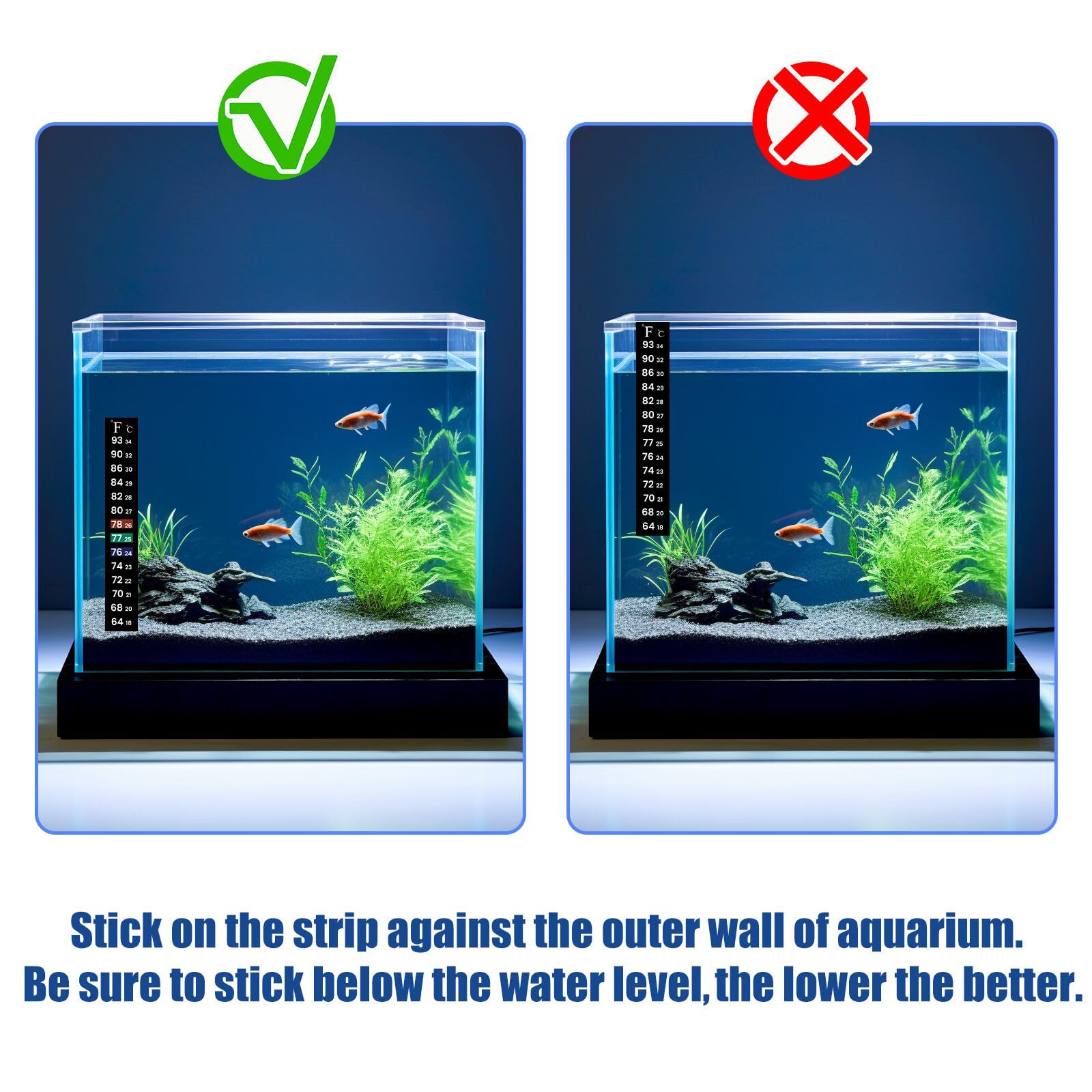 AQUANEAT thermometer strip in terrarium application for ambient heat monitoring.