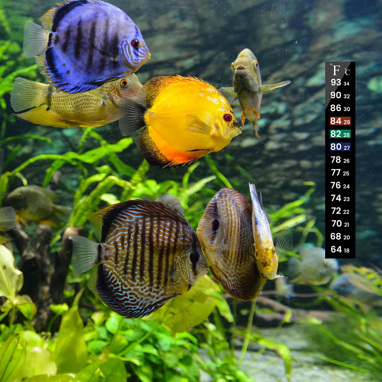 AQUANEAT thermometer strips used in wet environments like tanks or fridges.