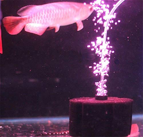 Aquapapa Bio Sponge Filter 4.5-inch diameter and 8-inch height fits many tanks.