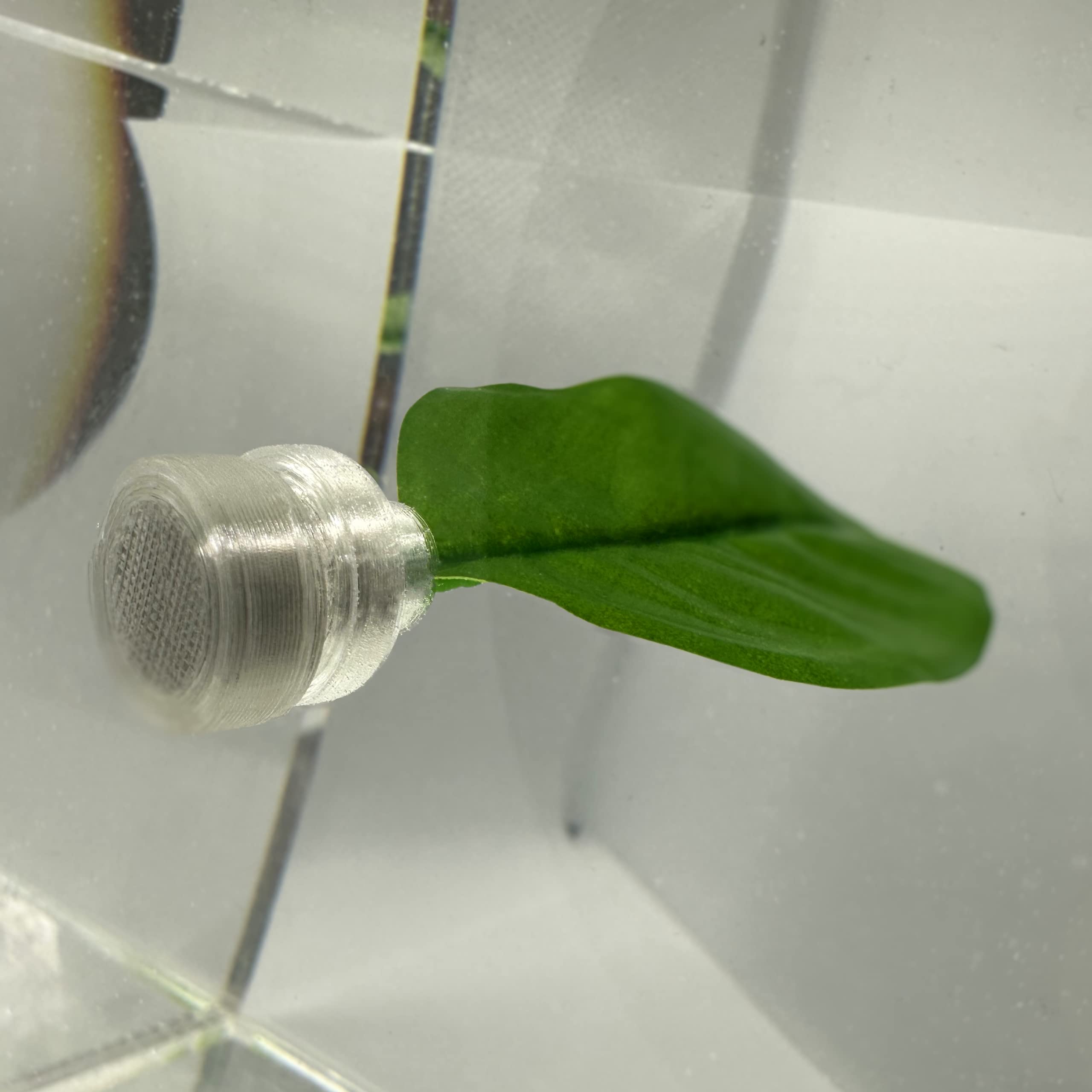 Aquarigram betta leaf hammock closeup highlights texture and safe materials.