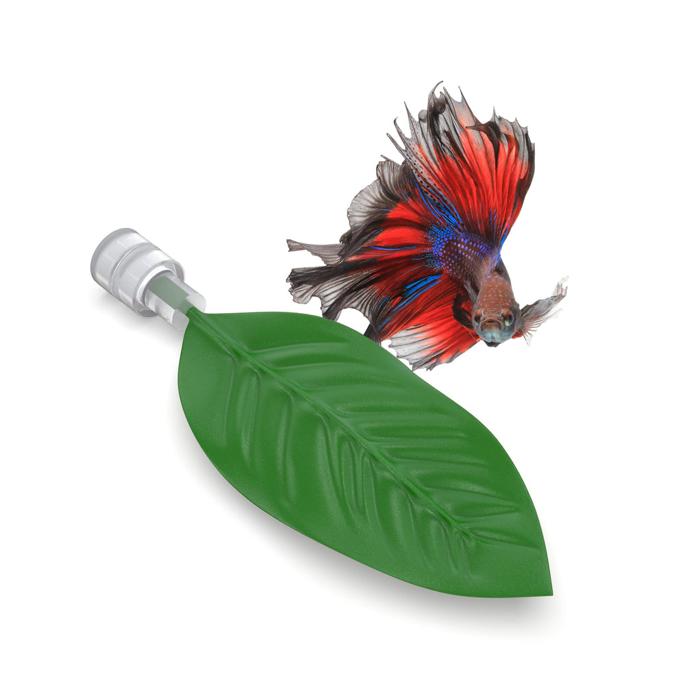 Aquarigram magnetic betta leaf hammock base securely attaches to tank glass for betta rest.
