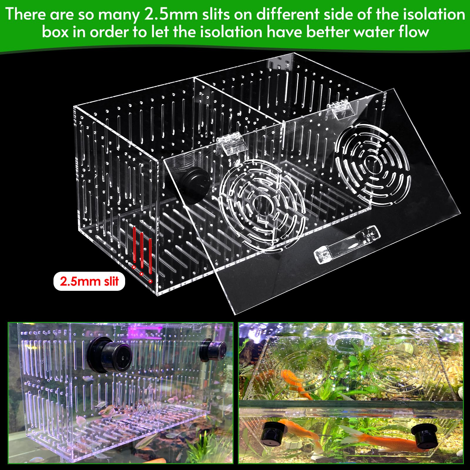 Aquarium Choice magnet acclimation box in-use illustrates plug-and-play quarantine in minutes.