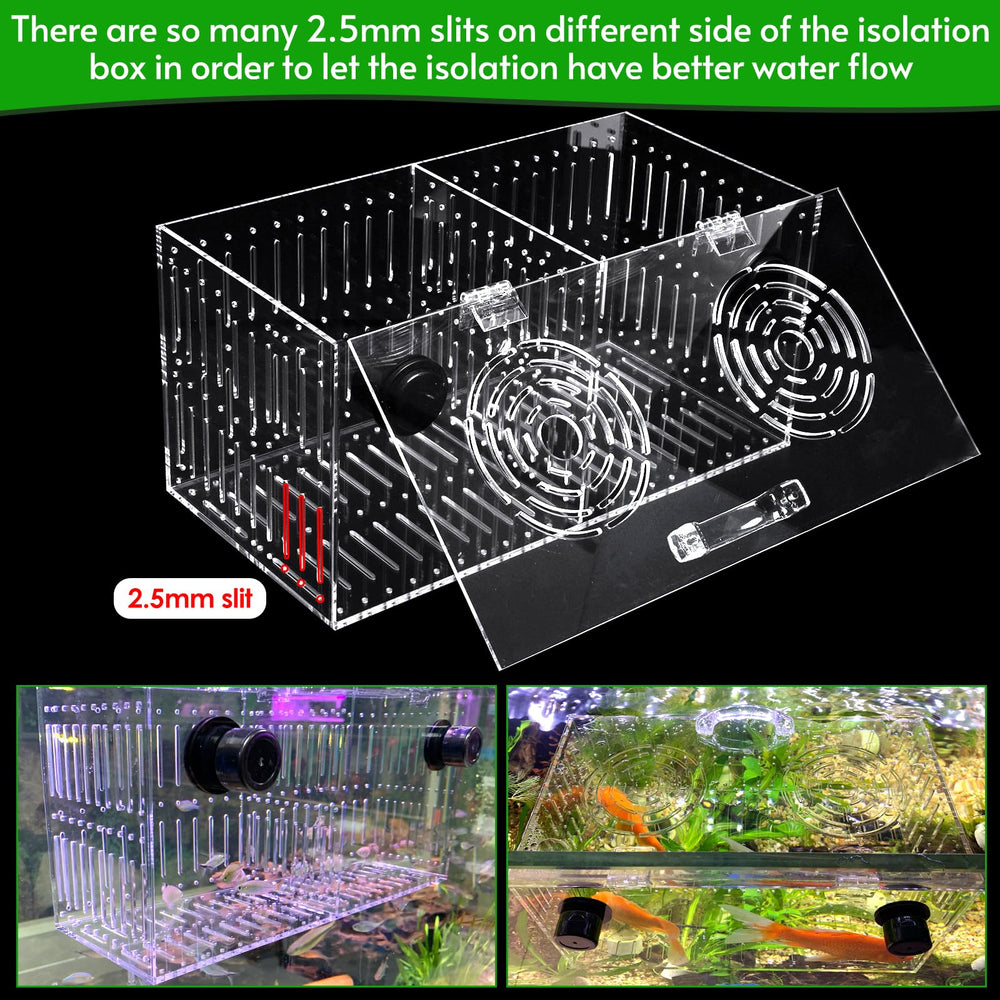 Aquarium Choice magnet acclimation box in-use illustrates plug-and-play quarantine in minutes.