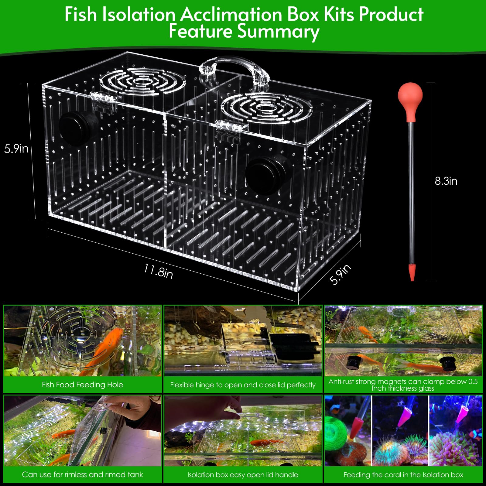 Aquarium Choice magnet acclimation box magnetic connection demonstrates easy attachment to tank walls.