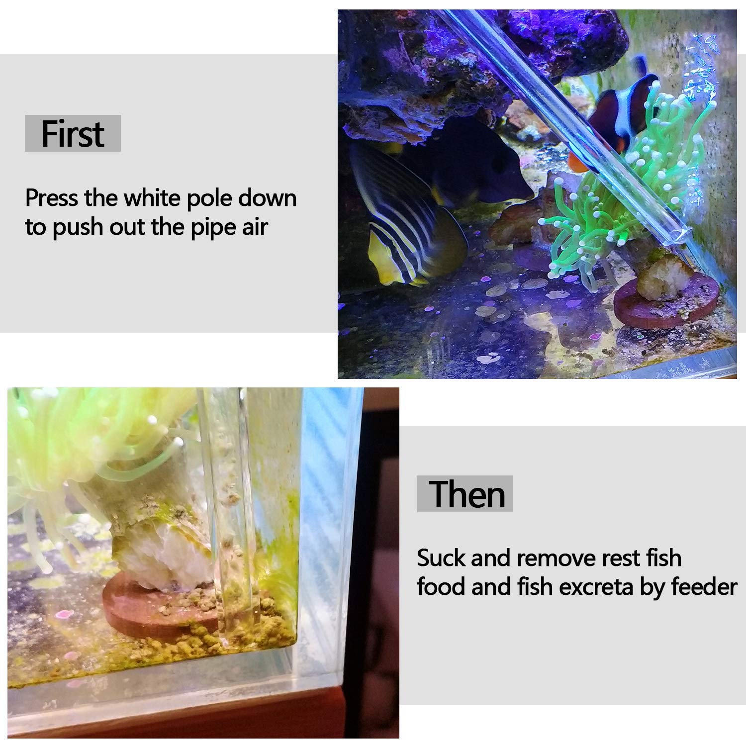 Aquarium Choice marine tank use illustrates versatile feeding and waste management.