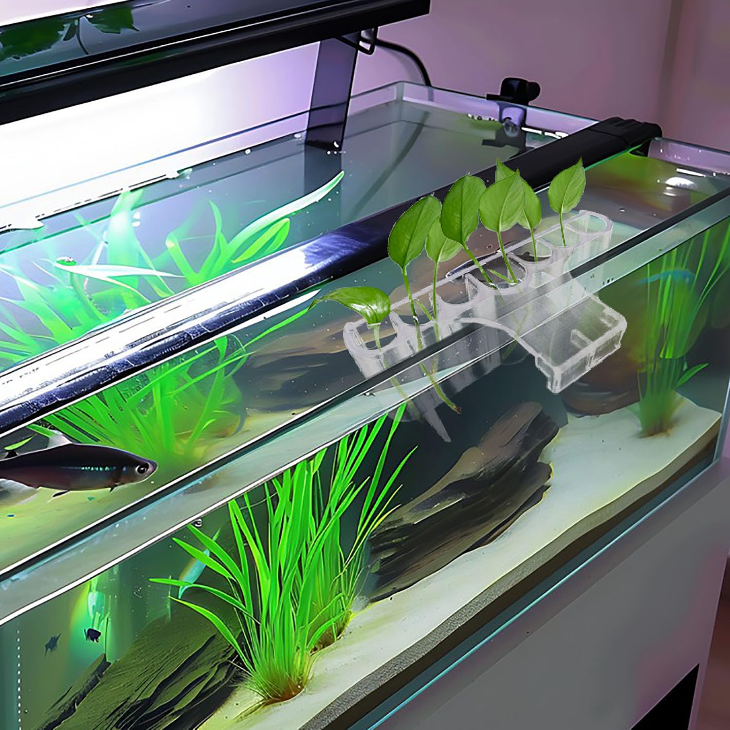 aquarium-plant-holder-7-hole-top-view ideal for creating an inviting aquascape focal point.