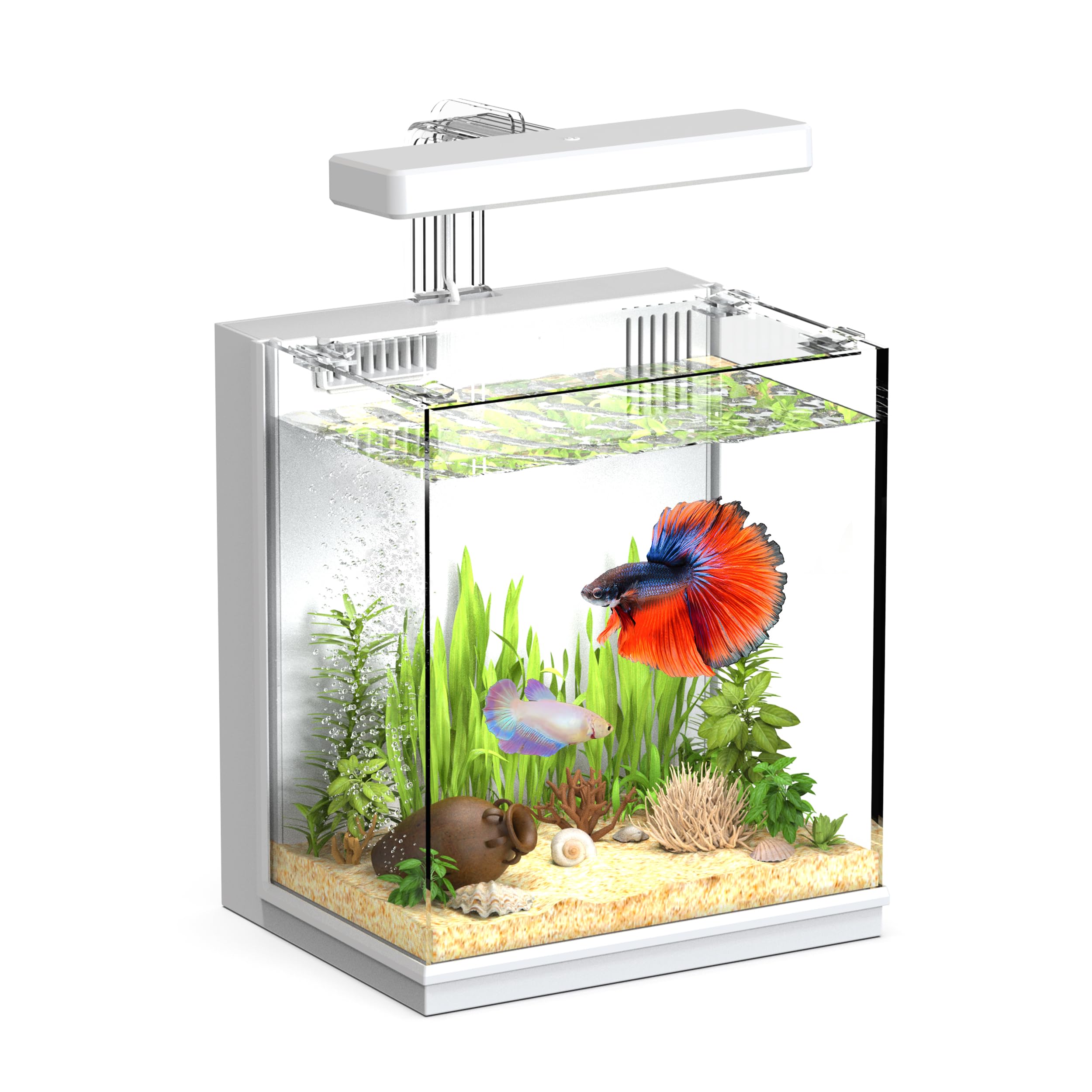 AQUASMITH 2-gallon front view tank for compact desks and classroom displays.