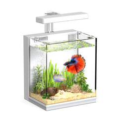 AQUASMITH 2-gallon front view tank for compact desks and classroom displays.
