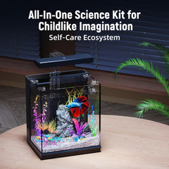 AQUASMITH Betta Tank with LED light on highlighting vibrant color and health-friendly ambiance.