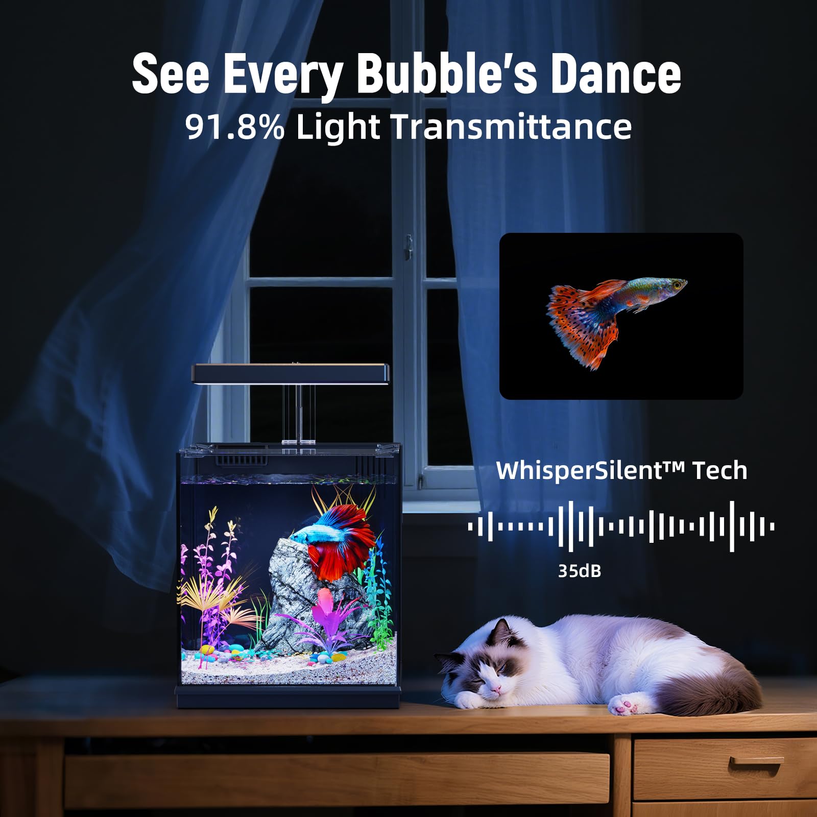 AQUASMITH Betta Tank Lift-Turn-Click feature for quick water changes and maintenance.