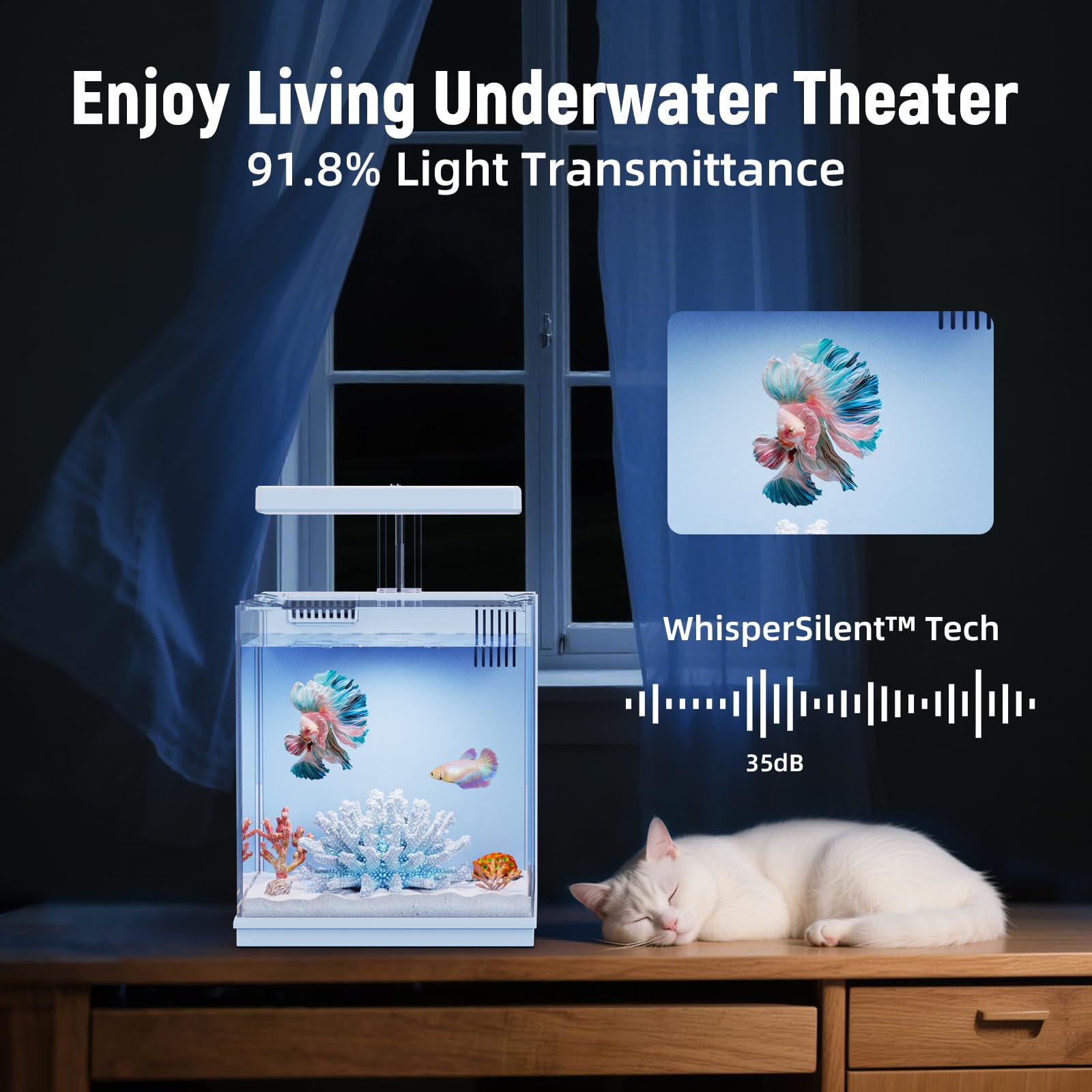 AQUASMITH built-in LED-light view enhances betta colors for vibrant viewing.