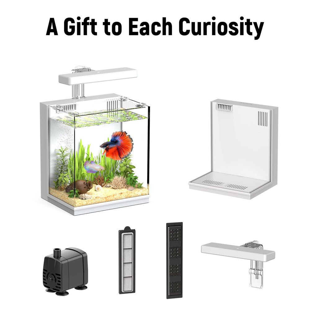 AQUASMITH clear glass viewing delivers ultra-clear visibility for betta watching.
