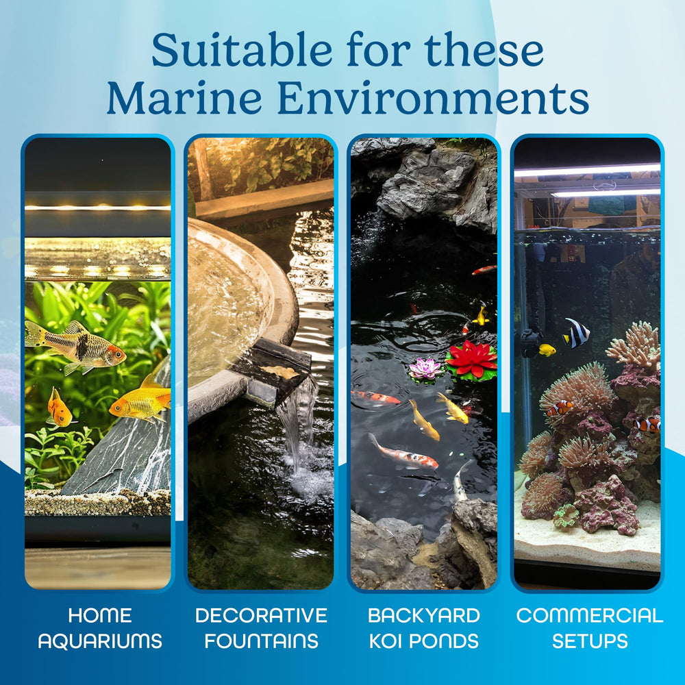 Aquatic Eden 5W UV light timer modes streamline routine tank maintenance.