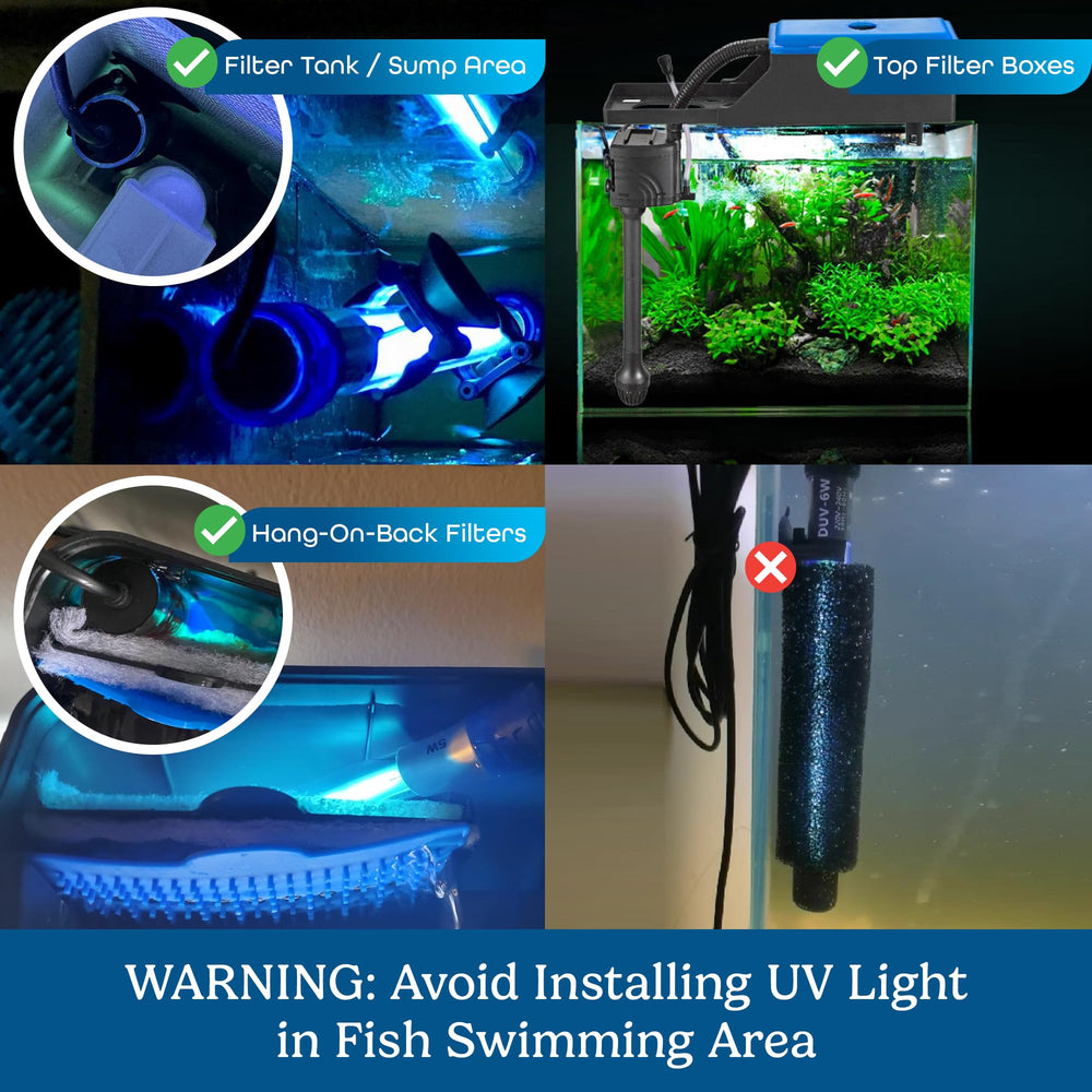 Aquatic Eden 5W UV light in top filter box for easy access and maintenance.