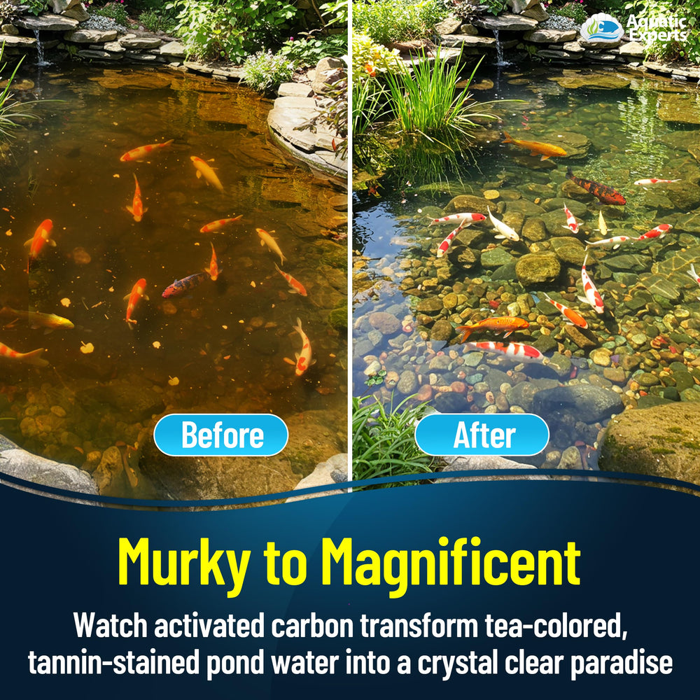 Aquatic Experts carbon pad in pond setup resisting outdoor elements
