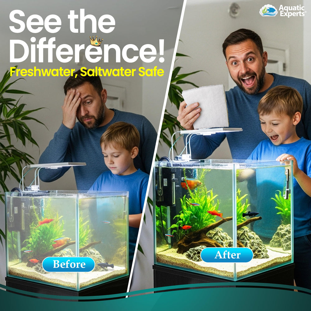 Aquatic Experts FilterFirst Pad installed in a filter chamber captures debris.