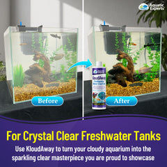 Aquatic Experts KloudAway clumps particles action illustrating filter capture.