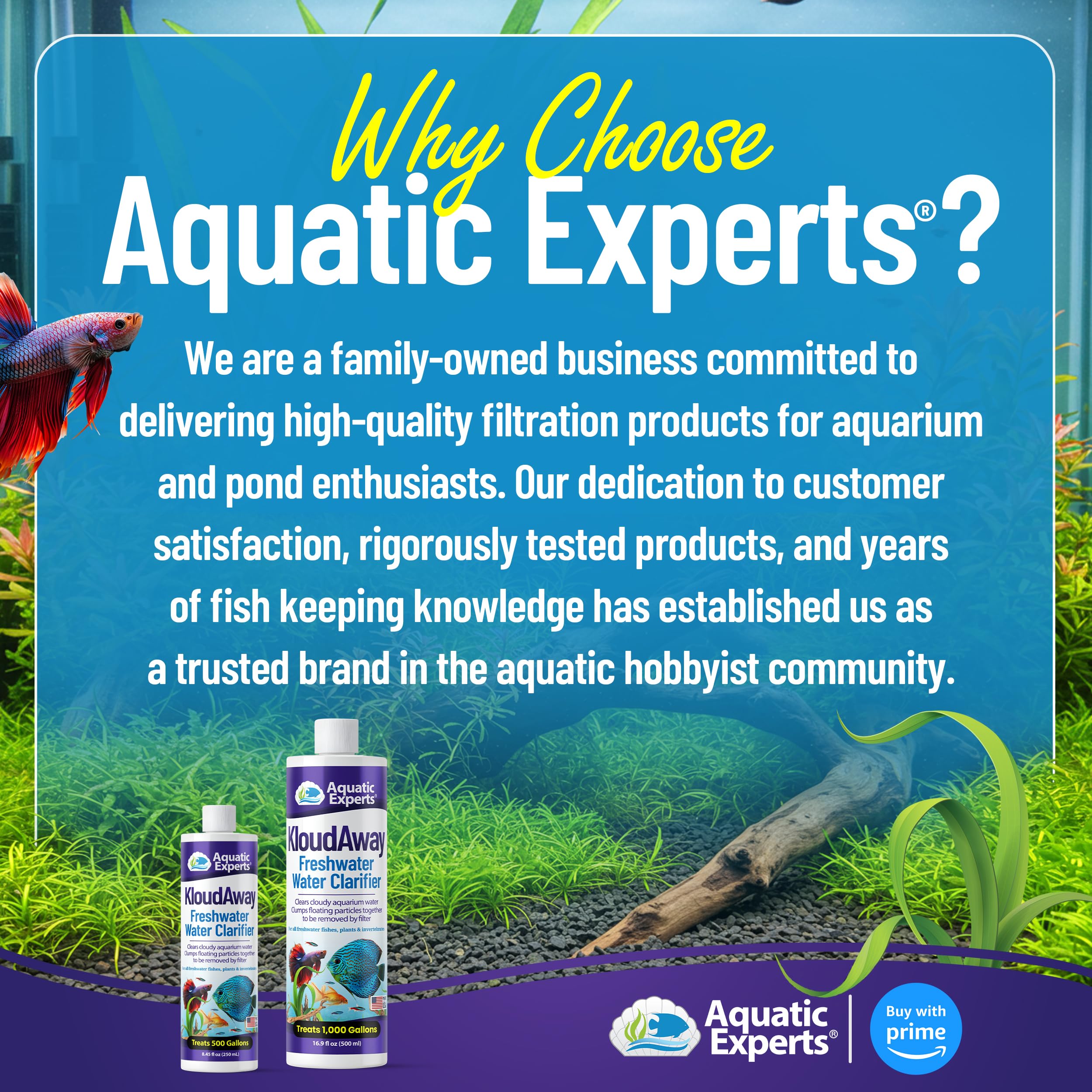 Aquatic Experts KloudAway video-guide thumbnail showing quick usage steps.